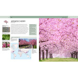 Trees of the World - A Celebration of the Beauty and Diversity of Species Across Continents