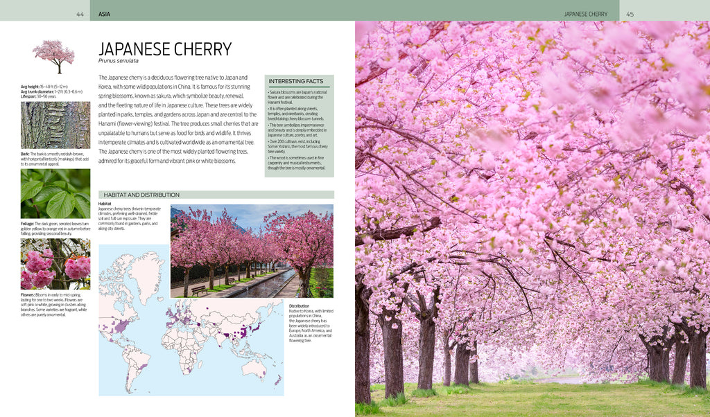 Trees of the World - A Celebration of the Beauty and Diversity of Species Across Continents