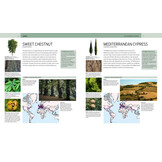 Trees of the World - A Celebration of the Beauty and Diversity of Species Across Continents
