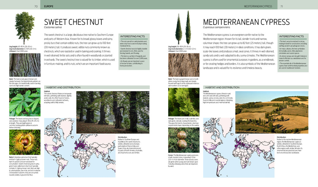 Trees of the World - A Celebration of the Beauty and Diversity of Species Across Continents