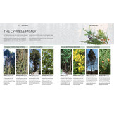 Trees of the World - A Celebration of the Beauty and Diversity of Species Across Continents