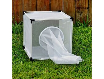 Bugdorm 4F3030 Zuchtkäfig