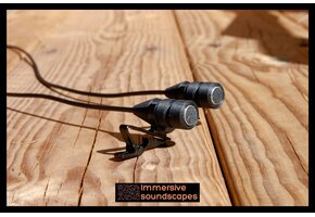 EarSight Standard V2 PIP Stereo Microphone