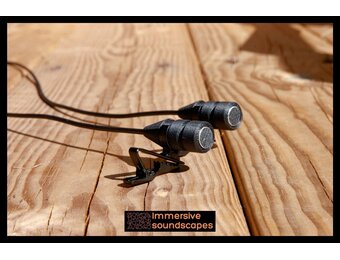 EarSight Standard-V2-PIP-Stereomikrofon