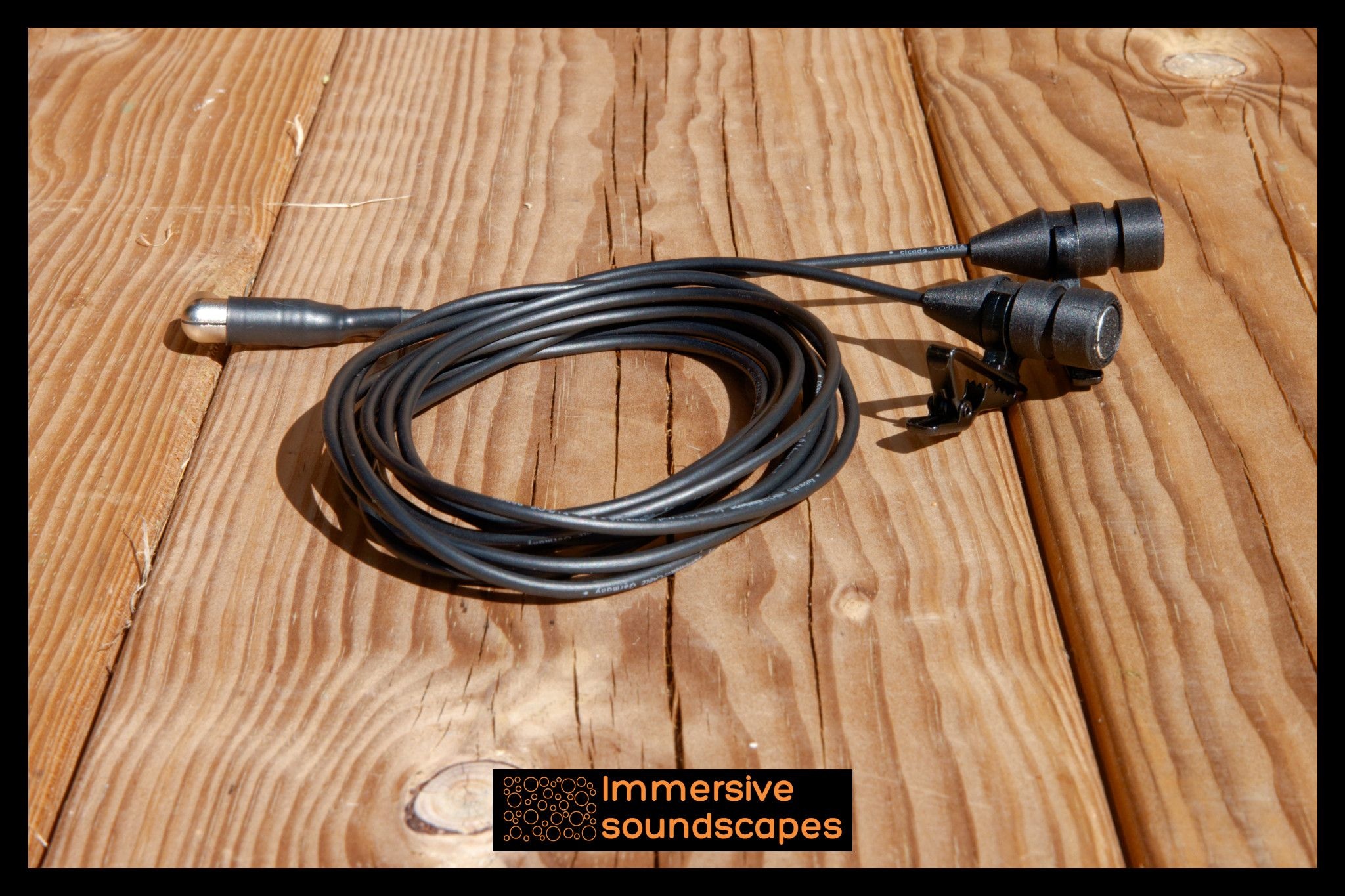 EarSight Standard-V2-PIP-Stereomikrofon