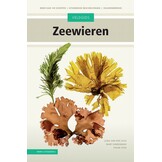 Veldgids Zeewieren