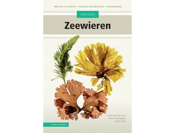 Veldgids Zeewieren