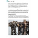 Veldgids Zeewieren