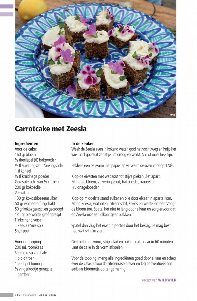 Veldgids Zeewieren