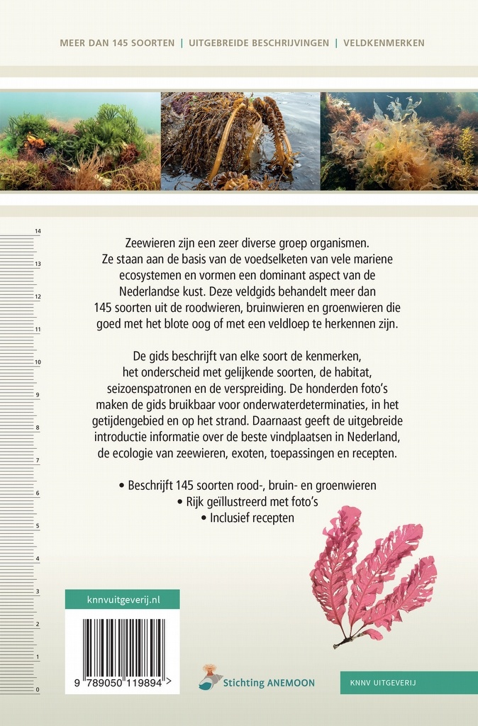 Veldgids Zeewieren