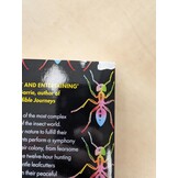 Damaged copy – Empire of Ants