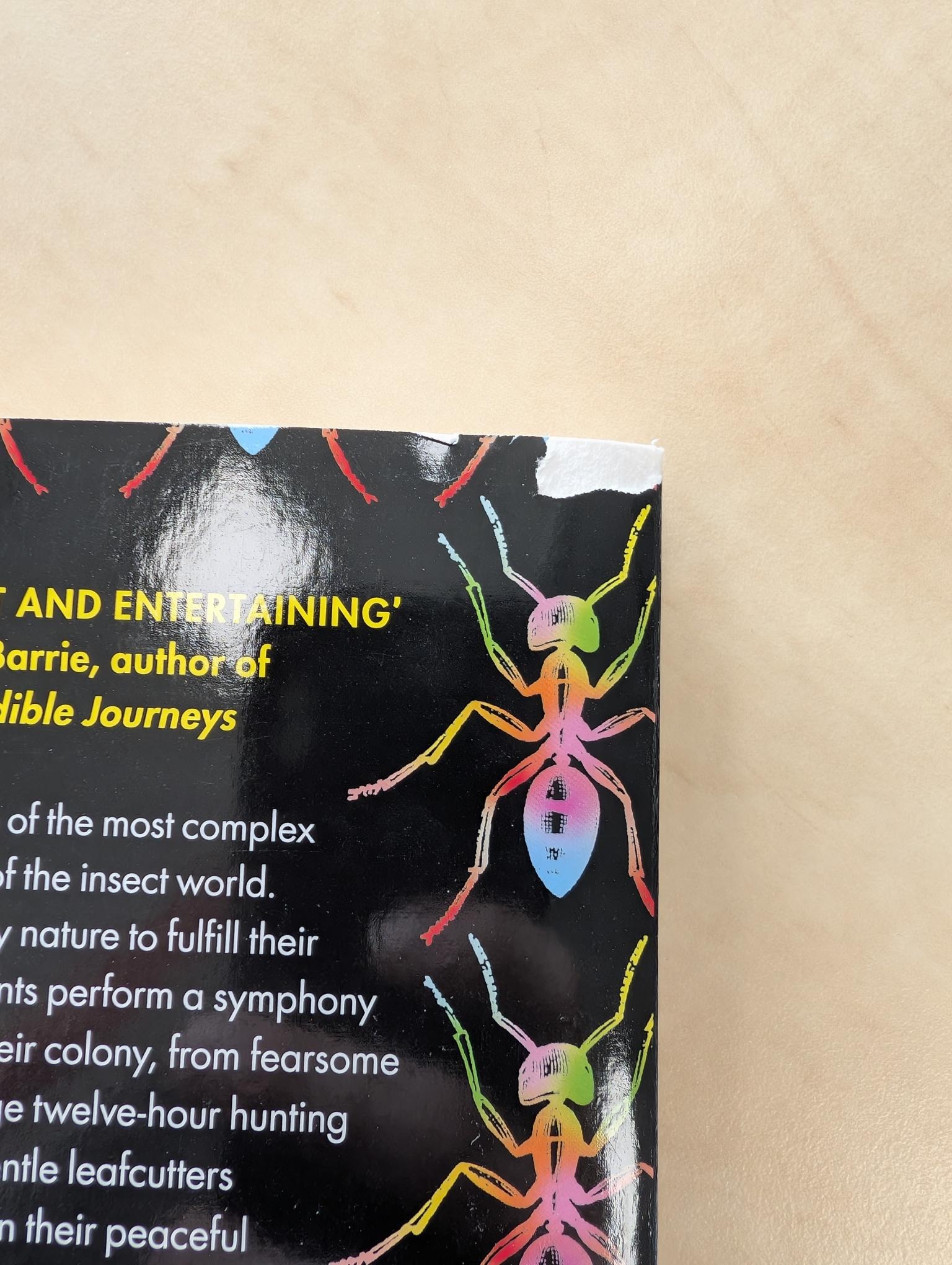 Damaged copy – Empire of Ants