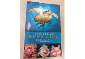 Damaged copy – Caribbean Reef Life