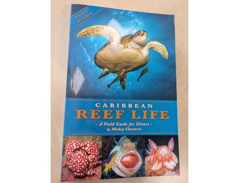 Beschädigte Kopie – Caribbean Reef Life