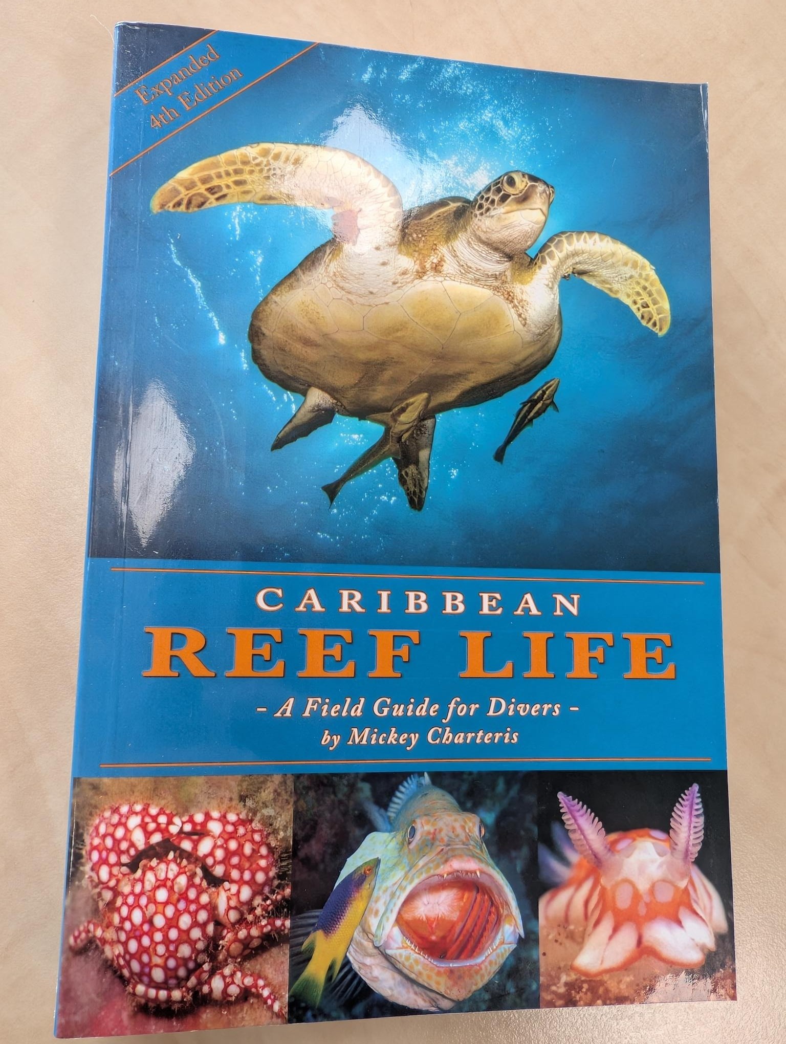 Damaged copy – Caribbean Reef Life - A Field Guide for Divers