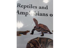 Beschädigte Kopie – Reptiles and Amphibians of Japan