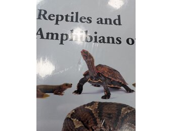 Damaged copy – Reptiles and Amphibians of Japan