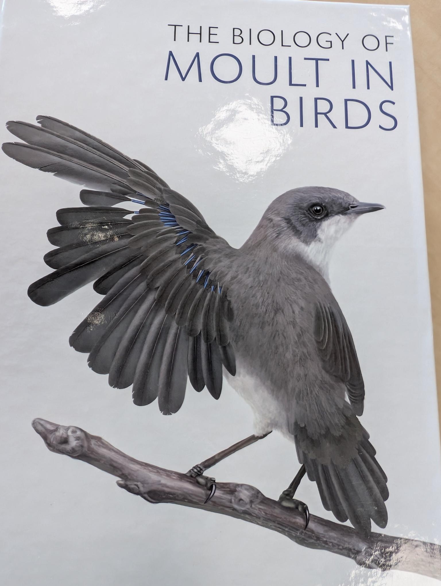 Beschadigd exemplaar – The Biology of Moult in Birds