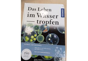 Beschädigte Kopie – Das Leben im Wassertropfen