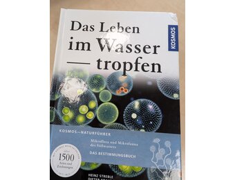 Beschädigte Kopie – Das Leben im Wassertropfen