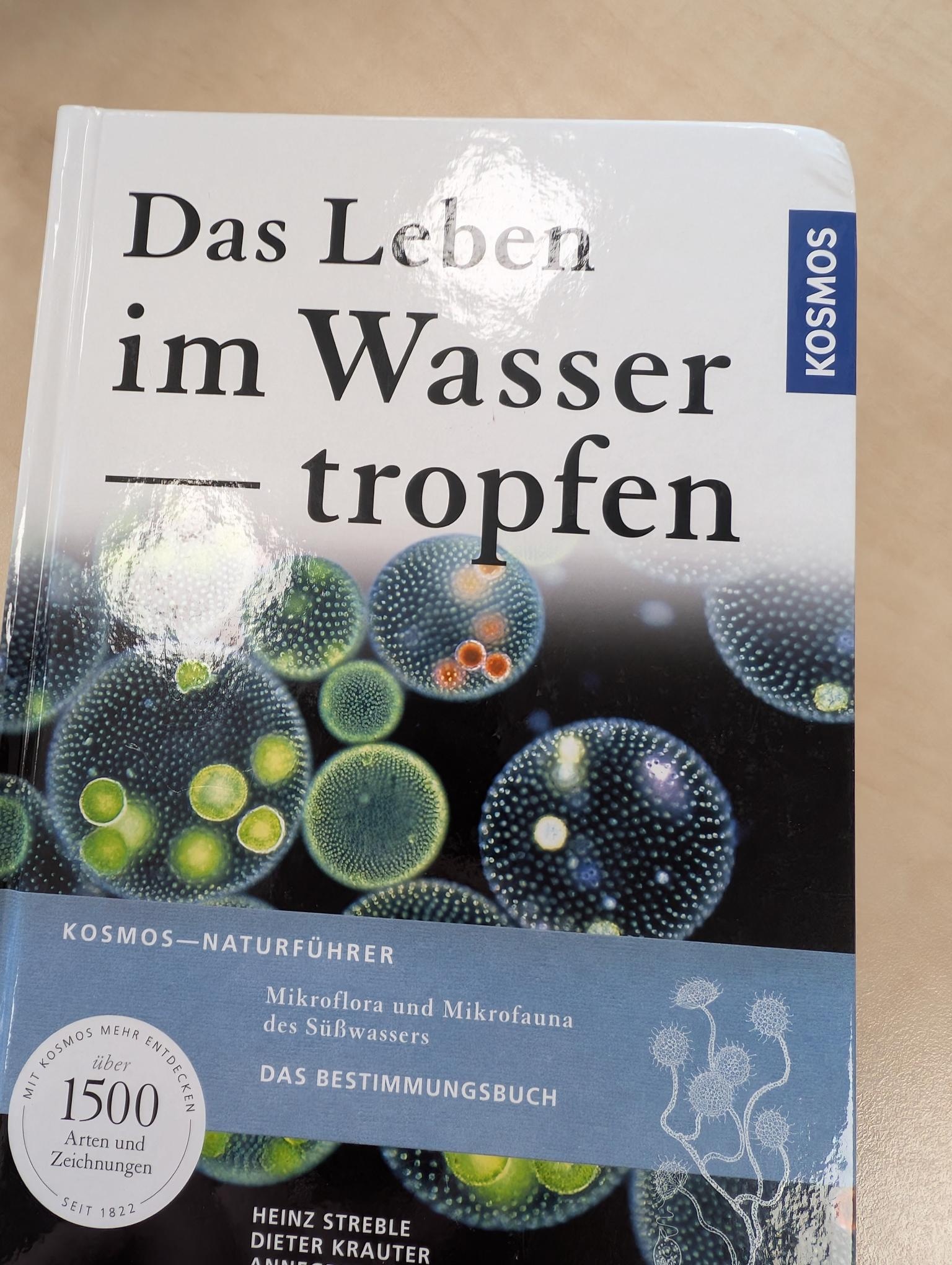 Beschädigte Kopie – Das Leben im Wassertropfen