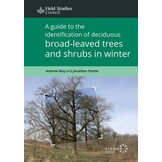 A Guide to the Identification of Deciduous Broad-Leaved Trees and Shrubs in Winter