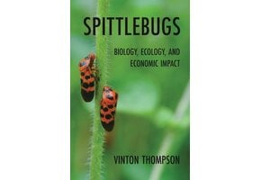Spittlebugs