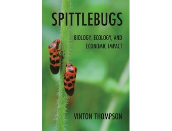 Spittlebugs