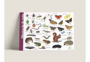 Identification Card Animals in the Garden