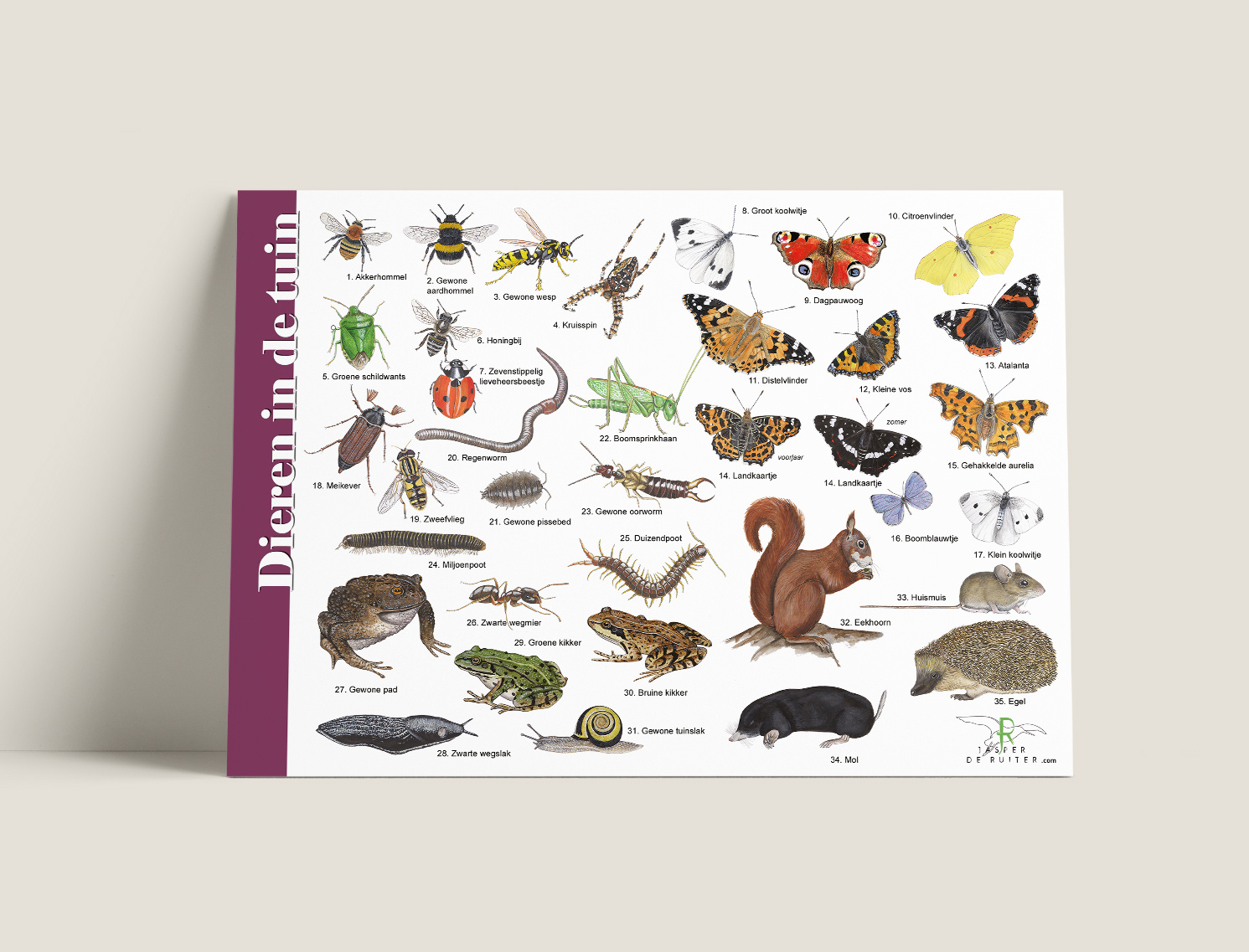 Identification Card Animals in the Garden