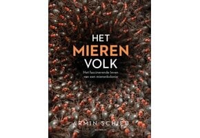 Het mierenvolk