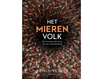 Het mierenvolk