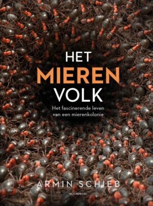 Het mierenvolk - Het fascinerende leven van een mierenkolonie