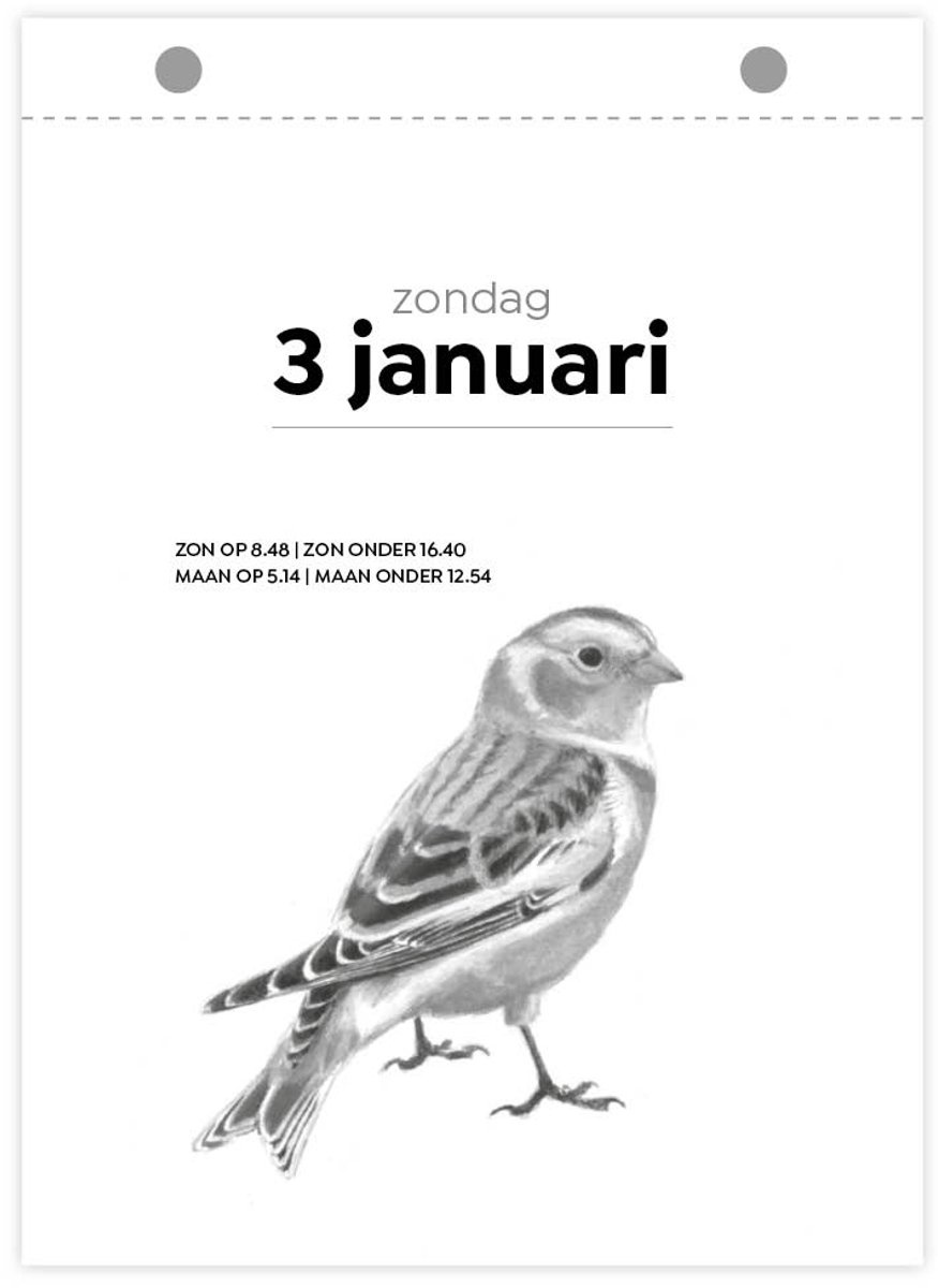 Vogelscheurkalender 2027