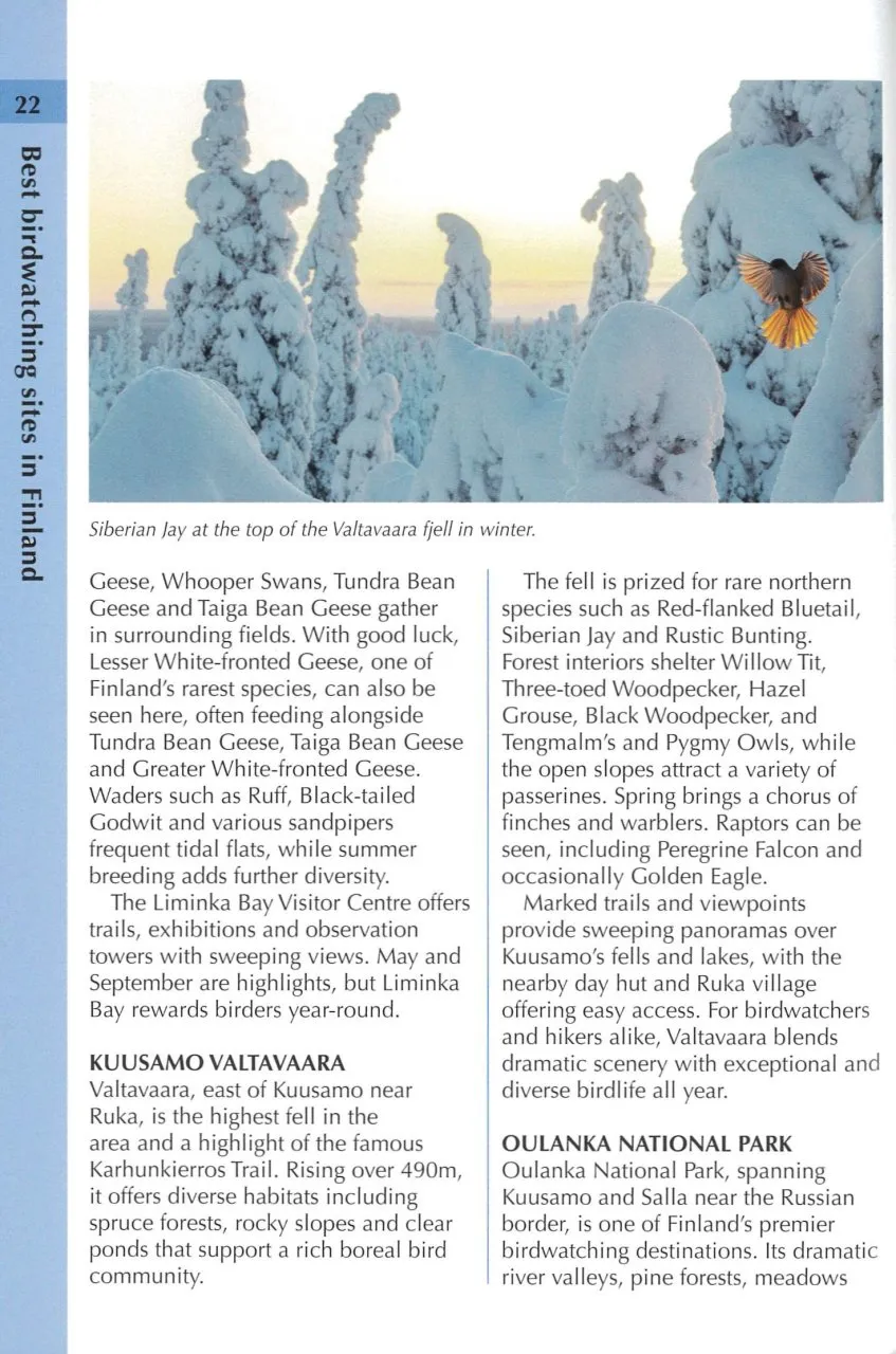 Birds of Finland