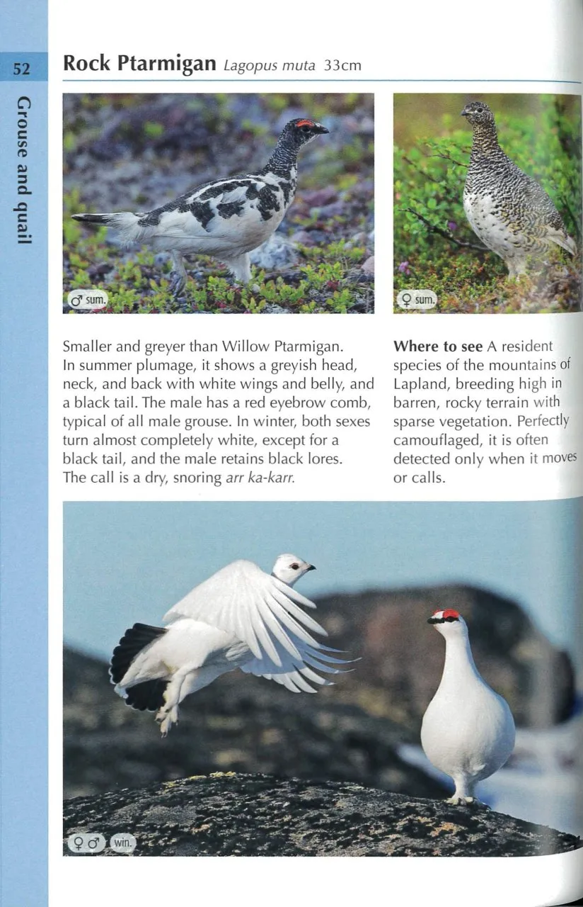Birds of Finland