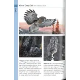 Birds of Finland
