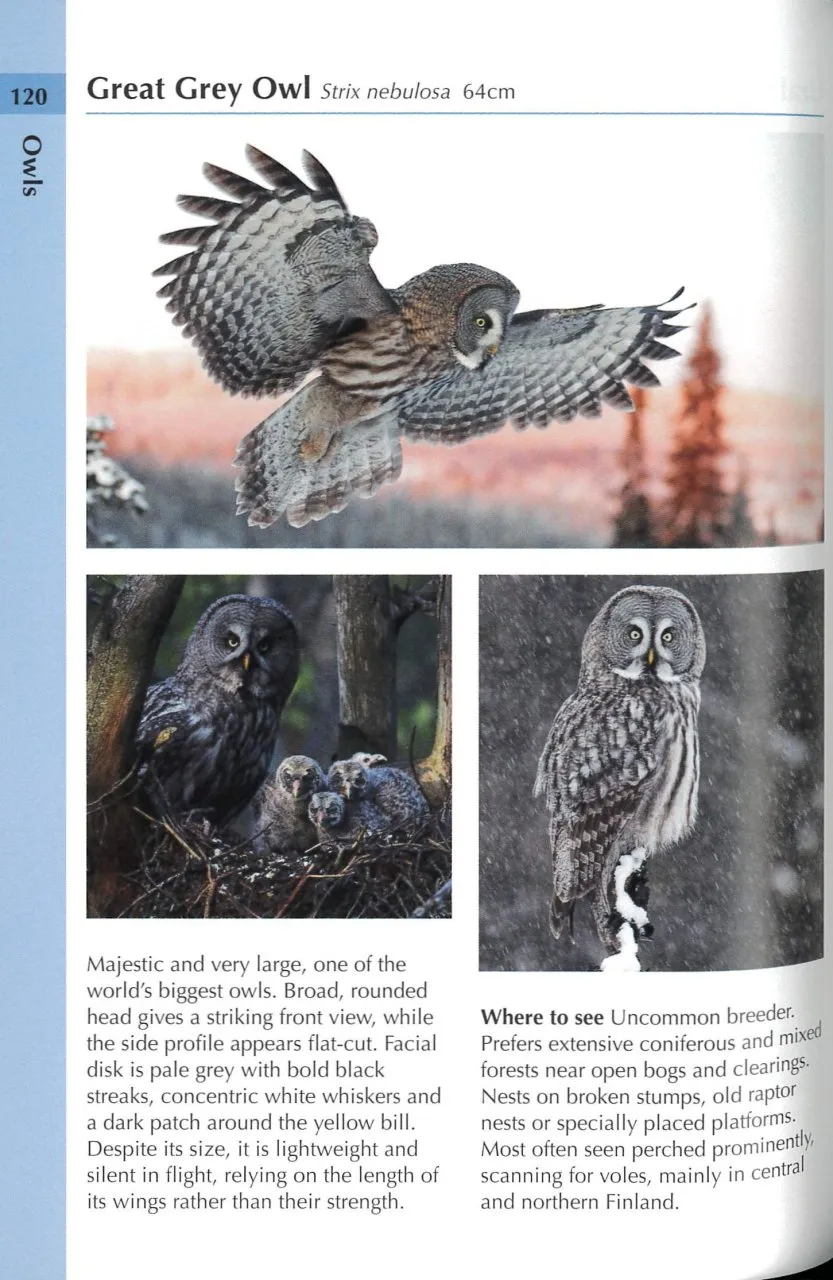 Birds of Finland