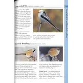 Birds of Finland