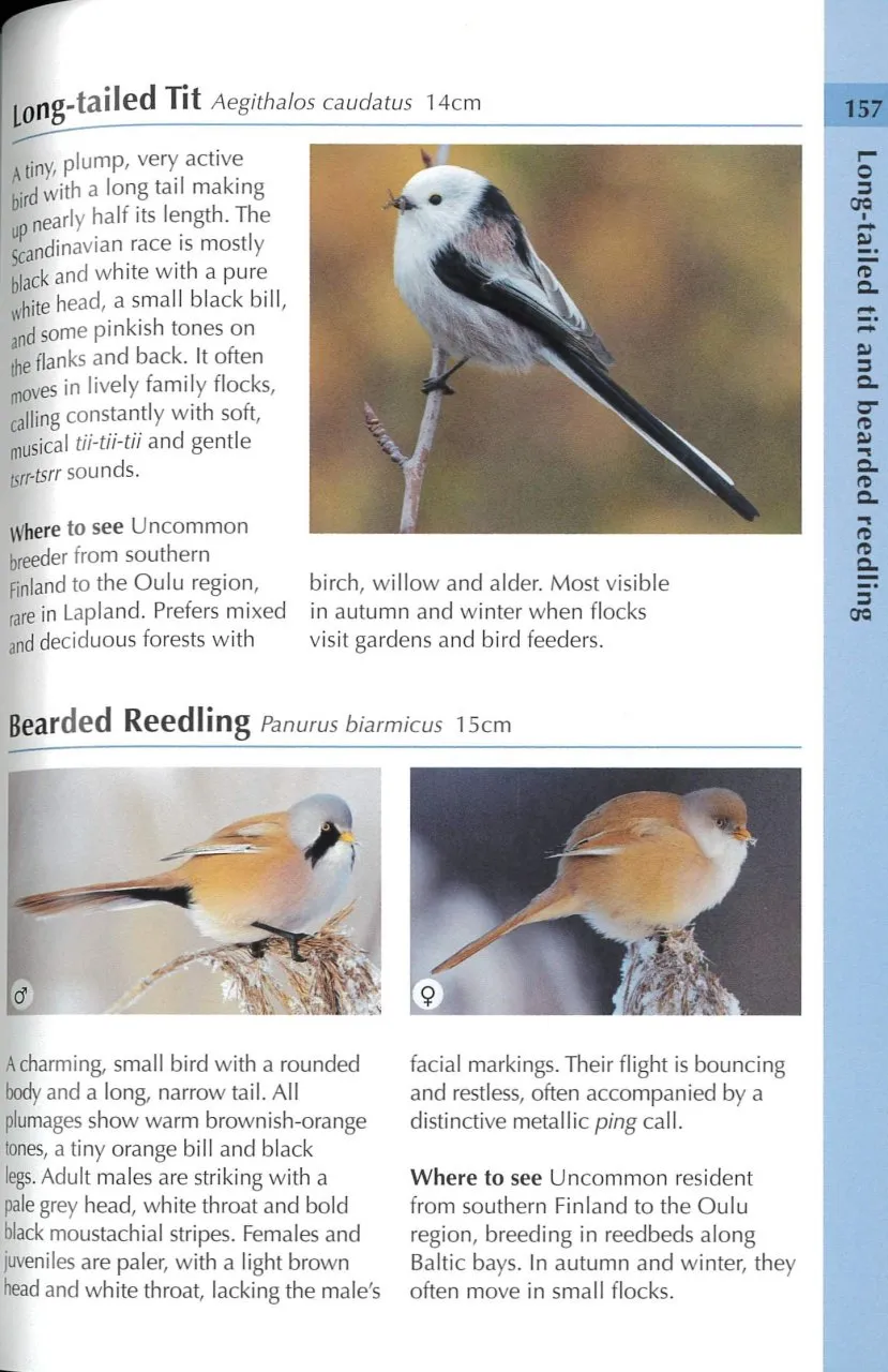Birds of Finland