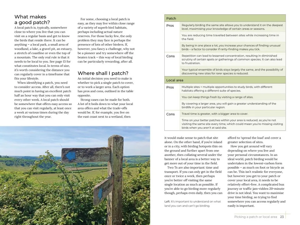 The Complete Guide to Patch Birding - Making the Most of Your Local Area