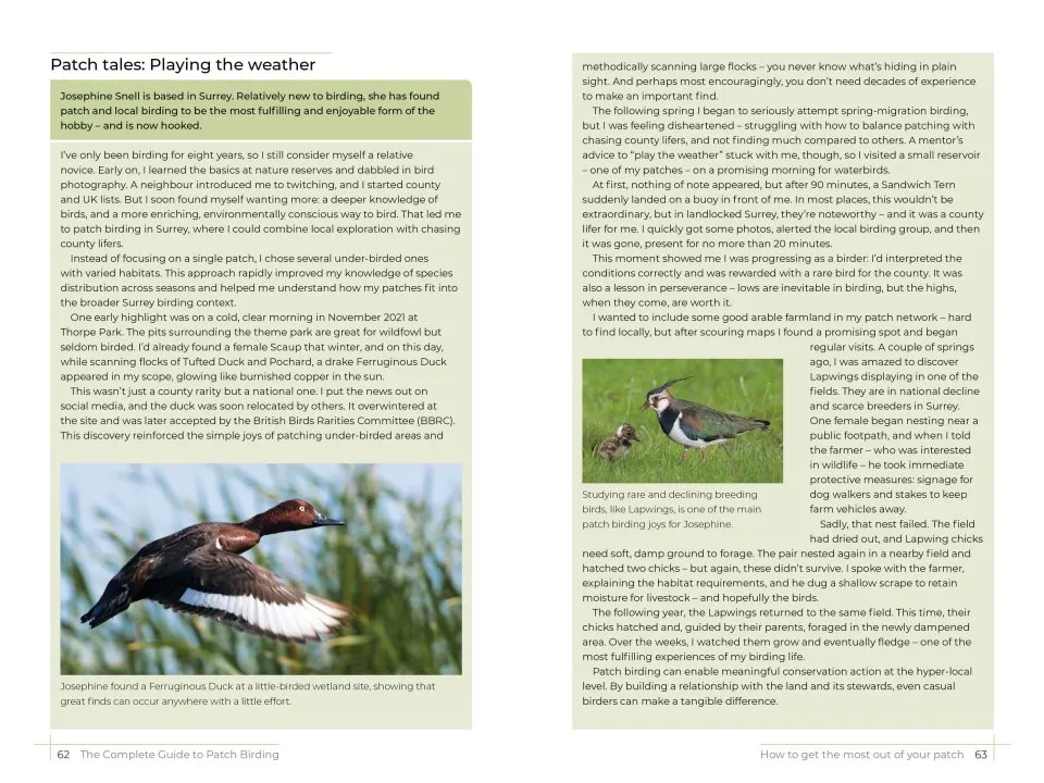 The Complete Guide to Patch Birding - Making the Most of Your Local Area