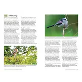 The Complete Guide to Patch Birding - Making the Most of Your Local Area