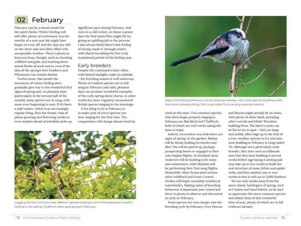 The Complete Guide to Patch Birding - Making the Most of Your Local Area