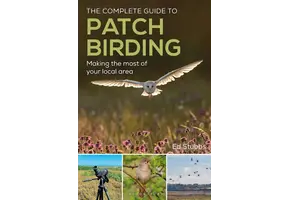 The Complete Guide to Patch Birding