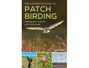 The Complete Guide to Patch Birding