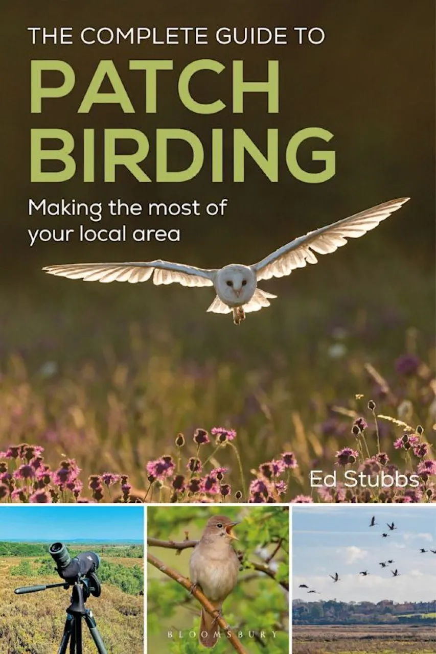 The Complete Guide to Patch Birding - Making the Most of Your Local Area