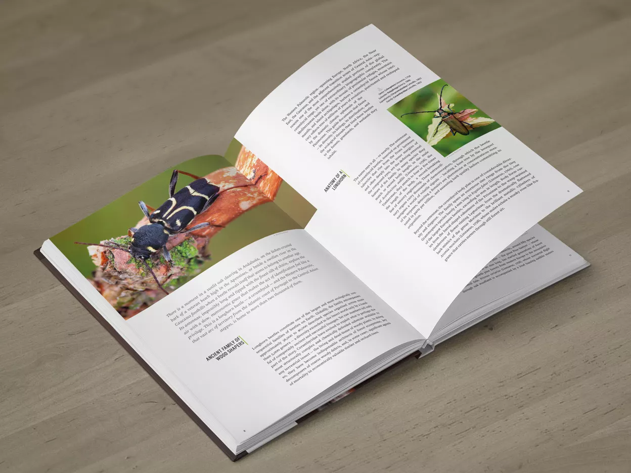 Cerambycidae of the Palearctic region, Volume I - Illustrated Guide to the Longhorn Beetles