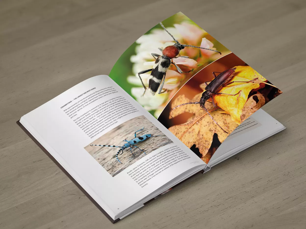 Cerambycidae of the Palearctic region, Volume I - Illustrated Guide to the Longhorn Beetles