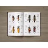 Cerambycidae of the Palearctic region, Volume I - Illustrated Guide to the Longhorn Beetles
